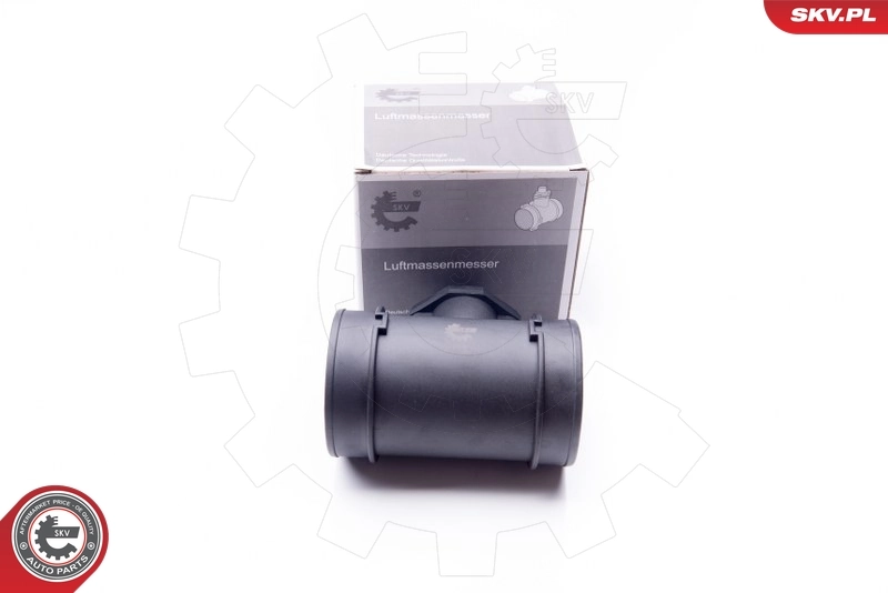 Mass Air Flow Sensor